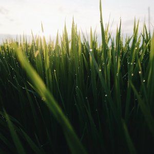 Meet your Posher, i___